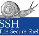 ロリポップ スタンダードプランを使う